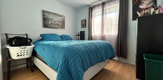 Lévis (St-Nicolas), grand 4 1/2 à louer - 1er mai 2026 - Photo 2