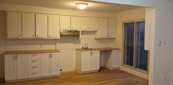 5 1/2 à proximité du métro Papineau - Photo 2