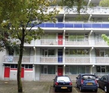 Milanenhorst 0ong, 2317 CL Leiden, Nederland - Foto 2