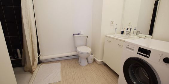 Appartement 1 pièce - Photo 3