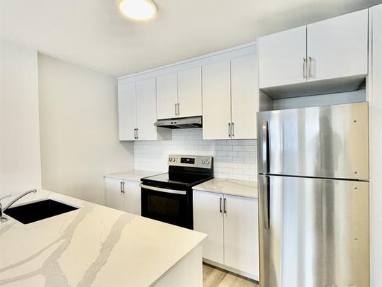 50 Rue Crépeau - Photo 1