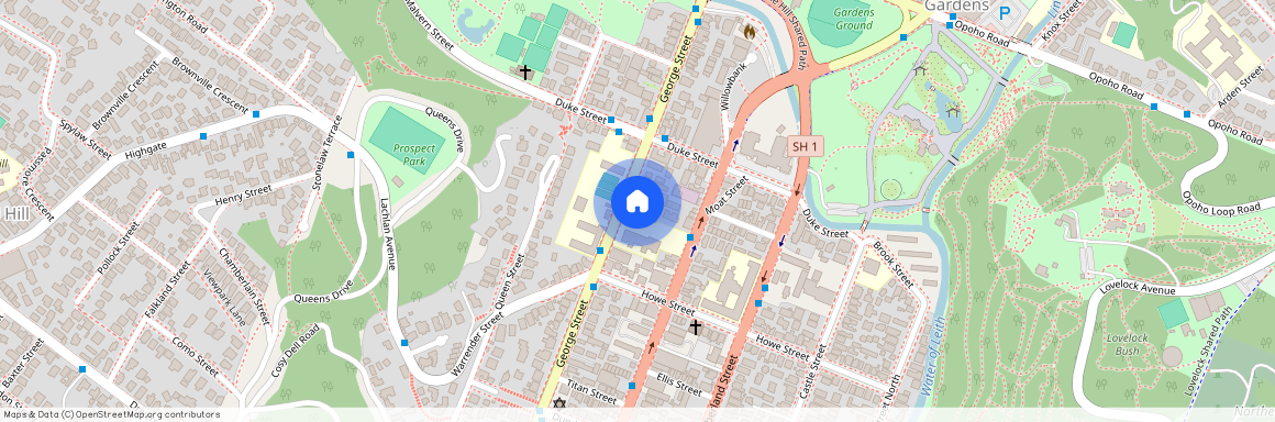 950 George Street, North Dunedin, Dunedin City