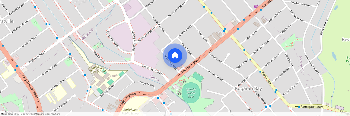 14A Massey St, NSW 2218, Carlton