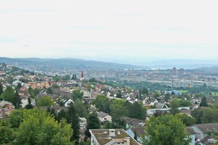 Traumhafte Aussicht über Zürich mit Bergpanorama - Photo 5