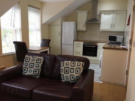 82 Eglantine Avenue, Belfast, BT9 6WT - Photo 3