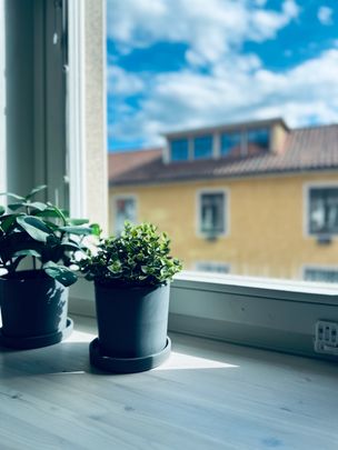 Långgatan, Öregrund - Foto 1