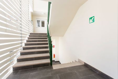 Studio - Granada (San Ildefonso) - Photo 4