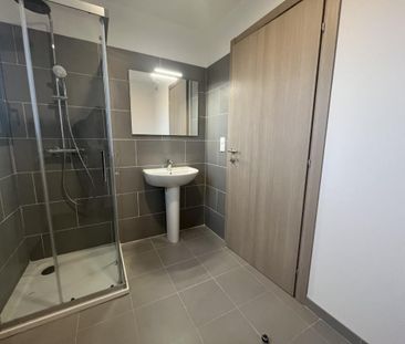 Location appartement à Furiani - Photo 2