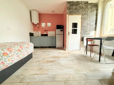 Location Appartement 1 pièce 18m² ST ETIENNE 42000 - Photo 2