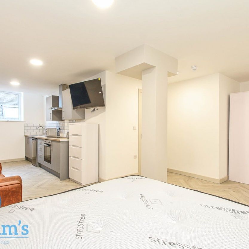 1 bed Studio for Rent - Photo 1