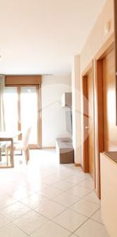 Trilocale in affitto - Photo 1