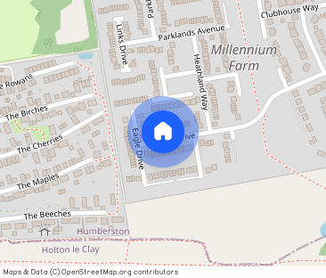 Eagle Drive, Humberston - Photo 1