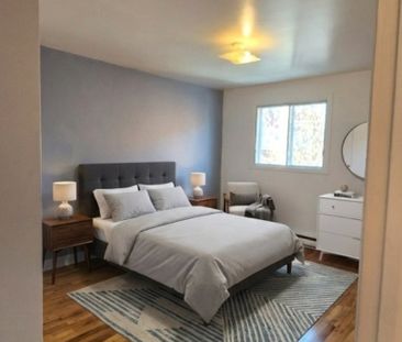 4271 Rue d'Amos, app.2, H1H 1P5, H1H 1P5, Montréal - Photo 4