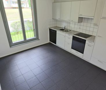 Naturnah wohnen am Birsufer: Helle 2.0-Zimmerwohnung in Arlesheim - Foto 3