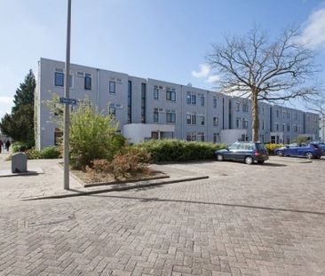 Heindijk 0ong, 3079 Rotterdam, Nederland - Foto 3