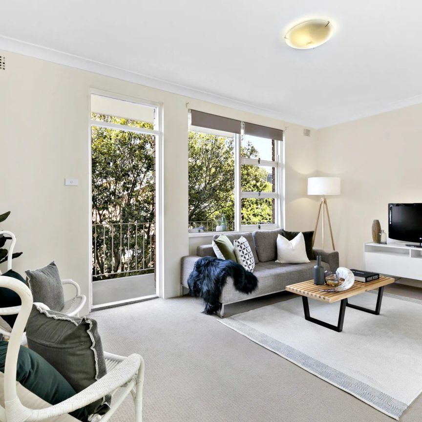 Another Successful Result By David Ibanez & Yuval Rabinowitz - Photo 1