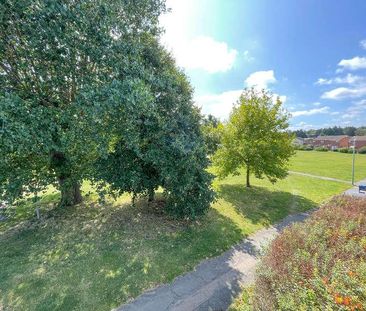 Parkers Walk, Newmarket, Suffolk, CB8 - Photo 3