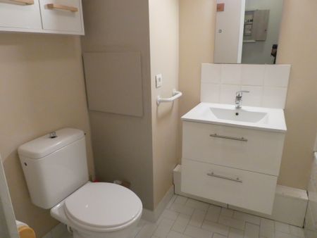 Location Appartement 1 pièce 25m² FONTAINEBLEAU 77300 - Photo 2