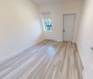34 Rue Marjorie-D.-Shackleton (Plateau) Grand Tous Inclus 5 1/2 - Photo 2