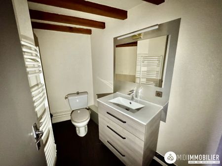 Location Appartement 1 pièce 23m² ALBI 81000 - Photo 3
