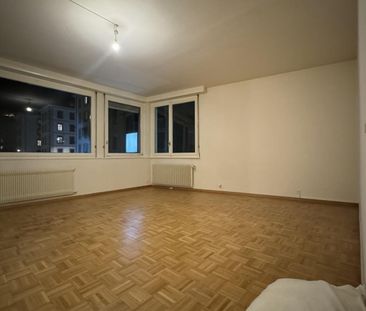 Appartement 3 pièces lumineux avec vue lac aux Eaux-Vives - Photo 2