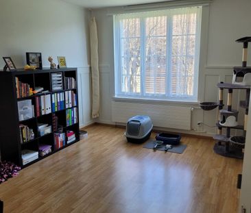 31/2-ROOM APARTMENT IN ENGGISTEIN (BE), FURNISHED, TEMPORARY - Photo 3