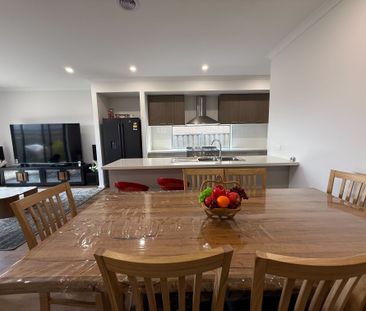 Modern Comforts, Solar & Low-Maintenance Yard - Photo 3