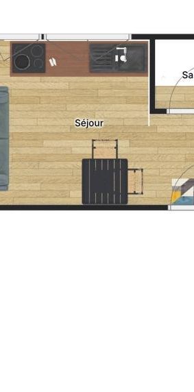 Location Appartement 1 pièce 16m² ROUEN 76000 - Photo 2