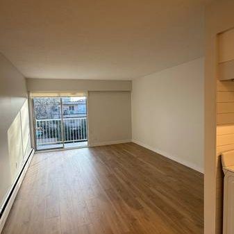 Fully Renovated 1 Bedroom - Photo 3