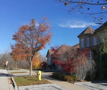 For Lease - 228 Vanda Drive, Vaughan, Ontario - Photo 1