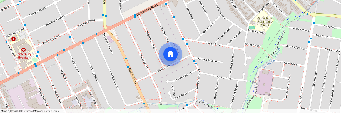 47 Messiter Street, Campsie, NSW 2194