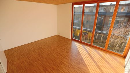 Wohnsiedlung "Obere Widen" im Grünen am Birsufer gelegen - Foto 5