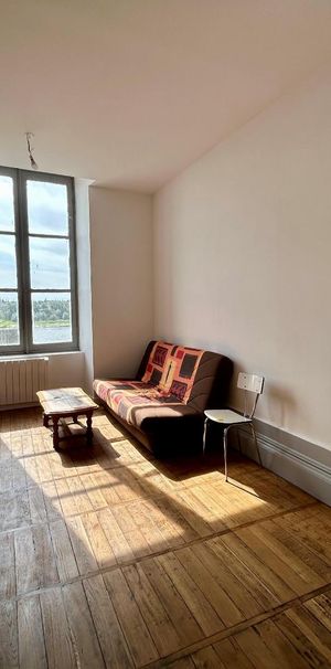 Location Appartement 1 pièce 28m² BLOIS 41000 - Photo 1