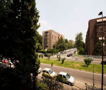 Via Bartolomeo DAlviano, Milan, Lombardy 20146 - Photo 6