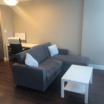 FURNISHED STUDIO FOR RENT - Photo 1