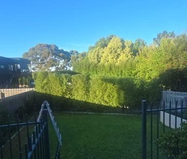 Paynesville - Photo 3