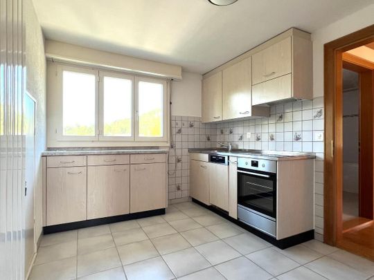 Spacious attic apartment close to nature - Photo 1