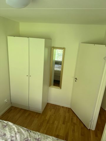 Gaffelseglet, Vega - Foto 5