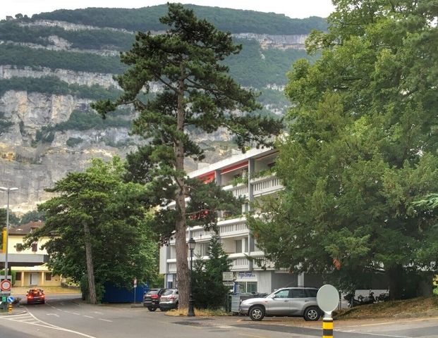 Charmant appartement de 2 pièces au 1er étage - Foto 1