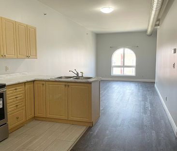 For Lease - 150 Colborne Street Unit# 403, Brantford, Ontario - Photo 3