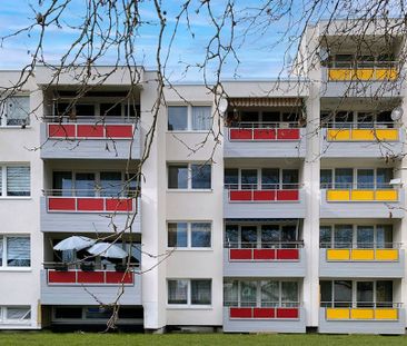 Renovierte 3 ZKB Wohnung - nur mit Wohnberechtigungsschein! - Photo 2