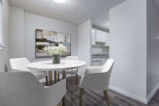 Renovated Suite - 2 Bedroom - Photo 1