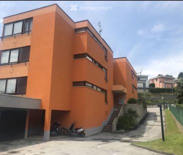Bellissimo open space a Morbio Inferiore con piscina - Photo 4