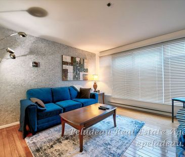 744 Rue St-Jean #106 - Photo 6