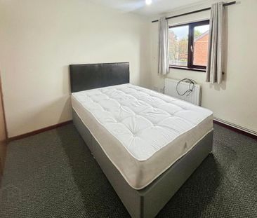 46 Rosevale Meadows, Lisburn, BT28 1JF - Photo 1