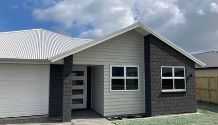 Modern Three Bedroom Home in New Subdivision - Photo 5