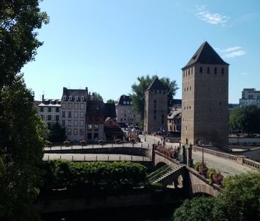 Location Appartement 1 pièce 10m² STRASBOURG 67000 - Photo 4