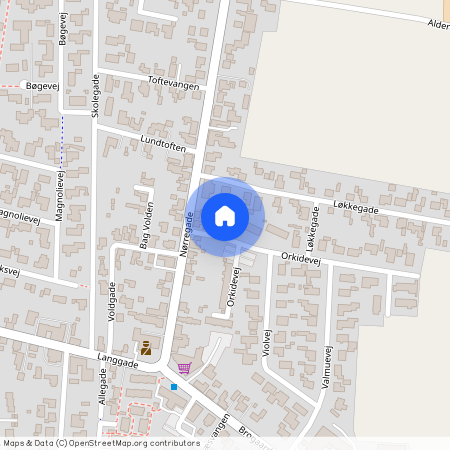 Orkidevej 1, 9490 Pandrup