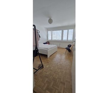 2 Zimmer, 50 m², 4. Stock - Photo 2