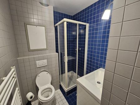 Location Appartement 1 pièce Meublé 21m² CHAMBERY 73000 - Photo 5